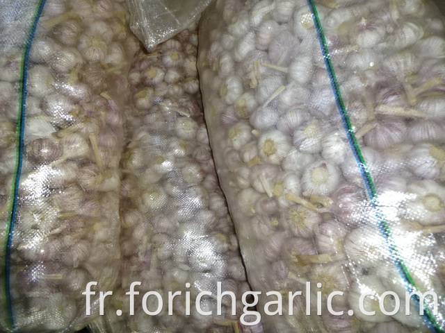 Crop 2019 Garlic